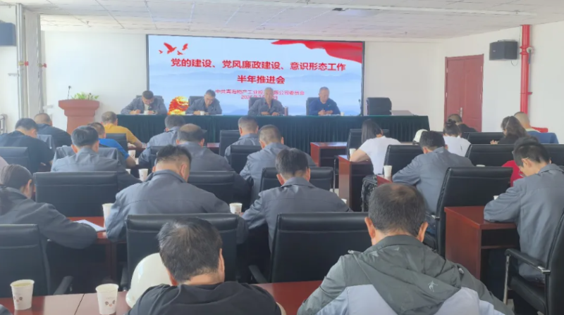 工投公司黨委召開黨的建設(shè)、黨風廉政建設(shè)、意識形態(tài)工作半年推進會