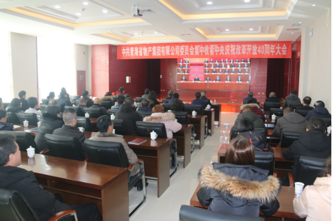集團(tuán)黨委組織黨員干部集中收聽(tīng)收看 慶祝改革開放40周年大會(huì)直播盛況